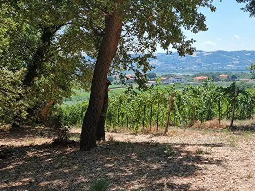 Immagine 8 di Terreno agricolo in vendita  a Santa Maria Imbaro