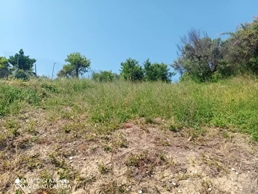 Immagine 11 di Terreno industriale in vendita  in CONTRADA VALLEVO' a Rocca San Giovanni