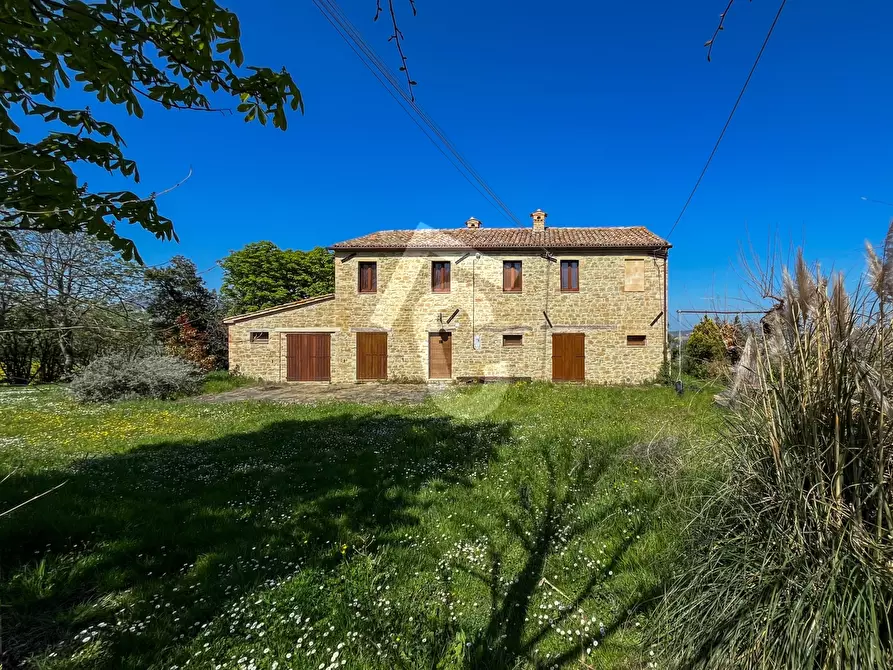 Immagine 8 di Rustico / casale in vendita  a Serra San Quirico