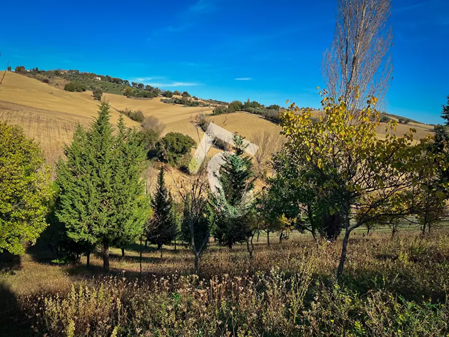 Immagine 35 di Rustico / casale in vendita  a Senigallia