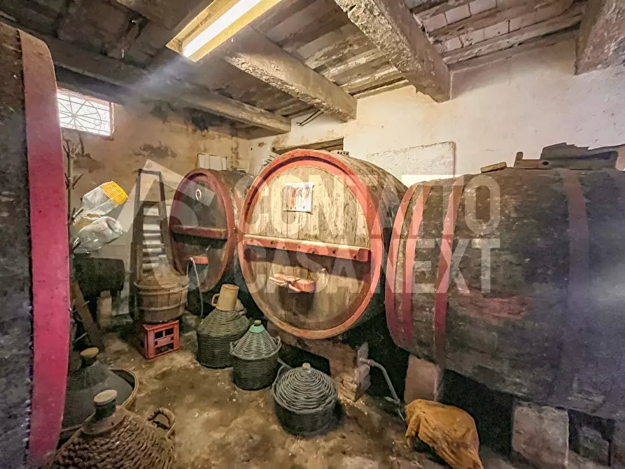 Immagine 3 di Rustico / casale in vendita  a Monte Roberto