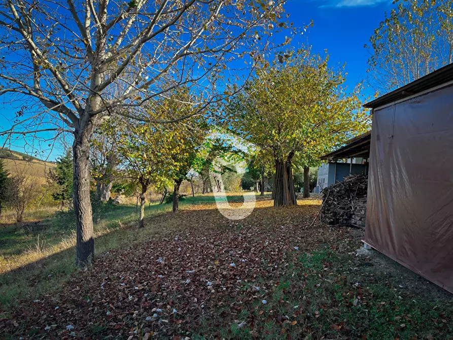 Immagine 38 di Rustico / casale in vendita  a Senigallia
