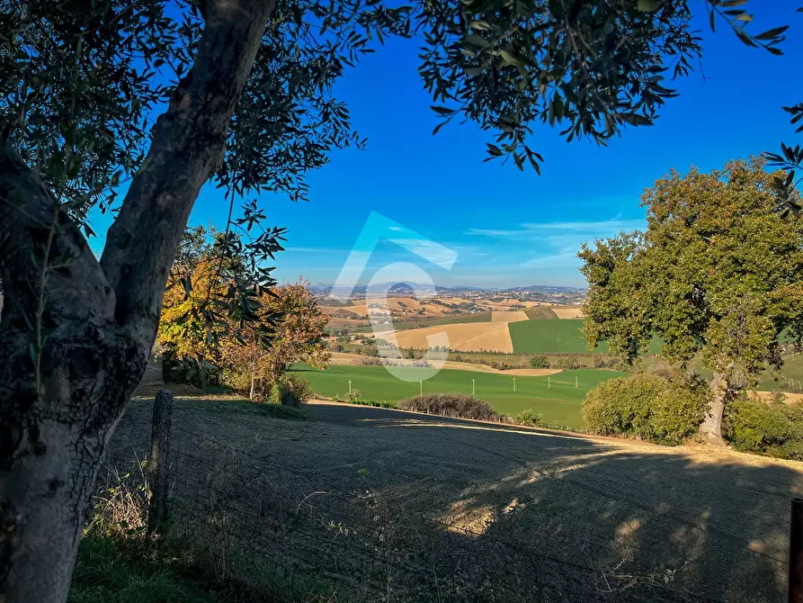 Immagine 12 di Casa indipendente in vendita  a Montecarotto
