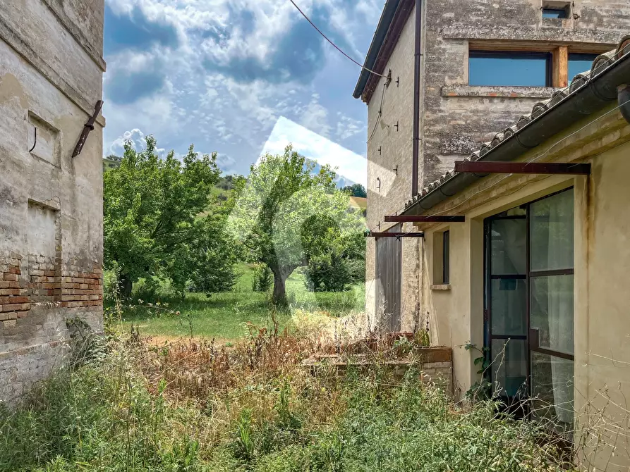 Immagine 21 di Rustico / casale in vendita  a Jesi