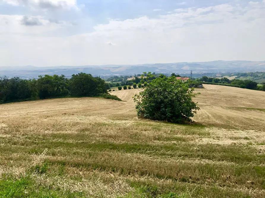 Immagine 9 di Terreno agricolo in vendita  a Jesi