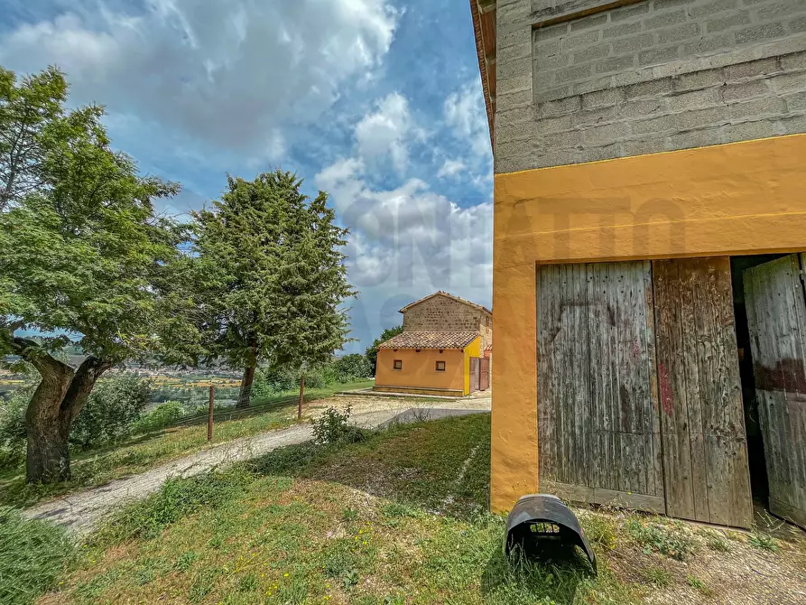 Immagine 24 di Rustico / casale in vendita  a Maiolati Spontini