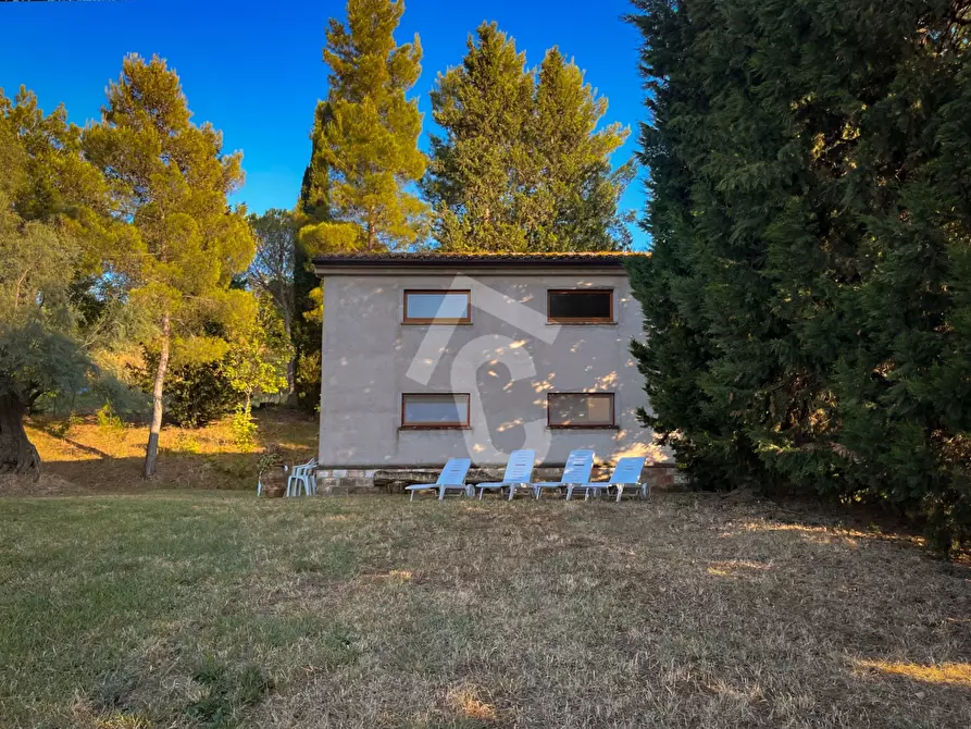 Immagine 3 di Rustico / casale in vendita  a Jesi