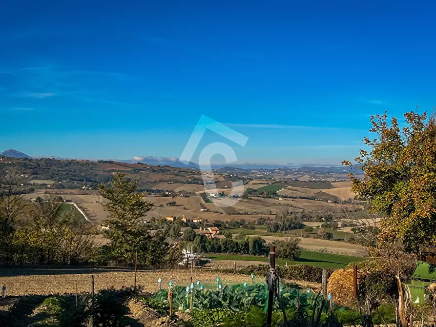 Immagine 4 di Casa indipendente in vendita  a Montecarotto