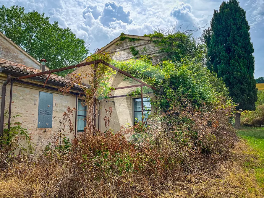Immagine 27 di Rustico / casale in vendita  a Jesi