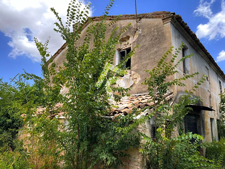 Immagine 6 di Rustico / casale in vendita  a Monte Roberto