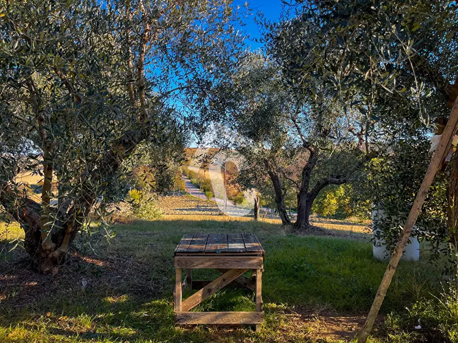Immagine 5 di Casa indipendente in vendita  a Montecarotto