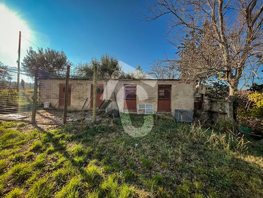 Immagine 59 di Rustico / casale in vendita  a Staffolo