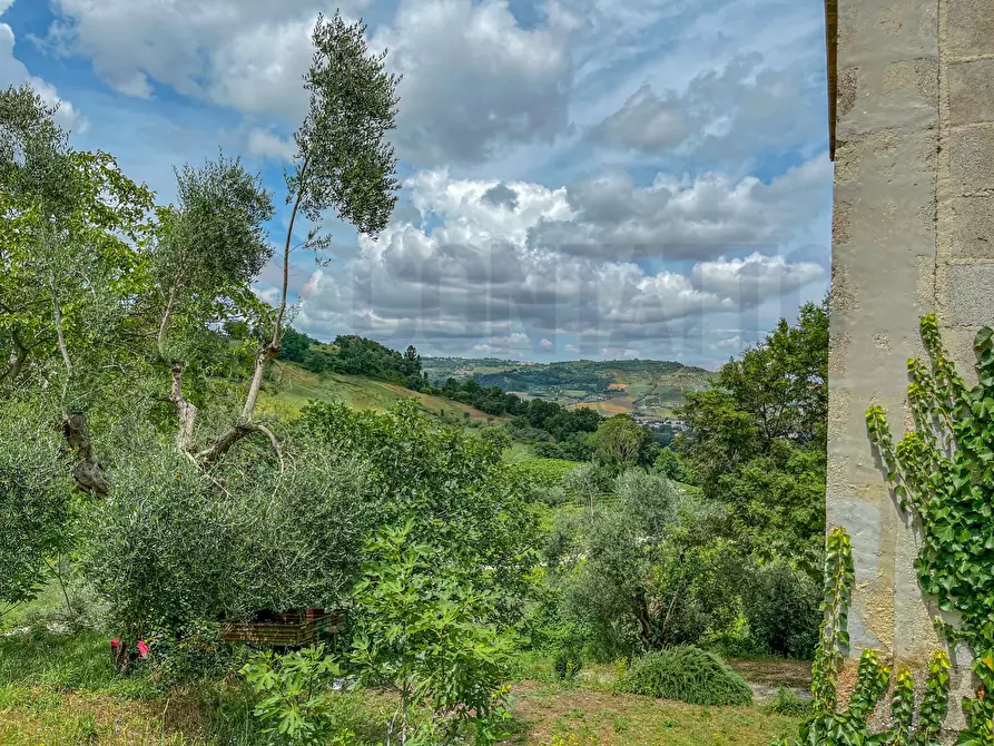 Immagine 28 di Rustico / casale in vendita  a Maiolati Spontini