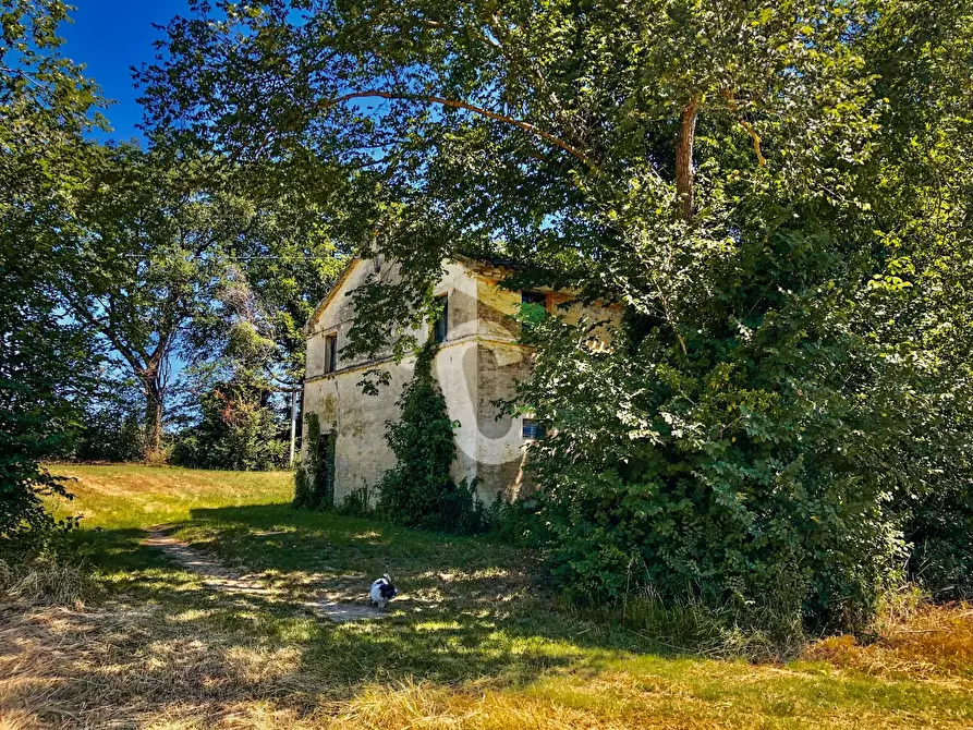 Immagine 6 di Rustico / casale in vendita  a Trecastelli