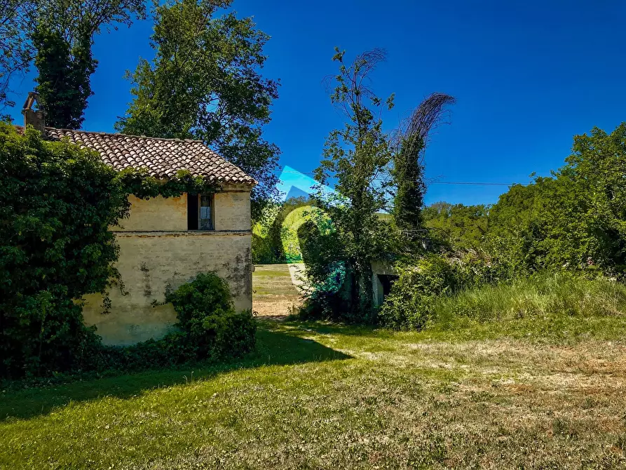 Immagine 9 di Rustico / casale in vendita  a Trecastelli