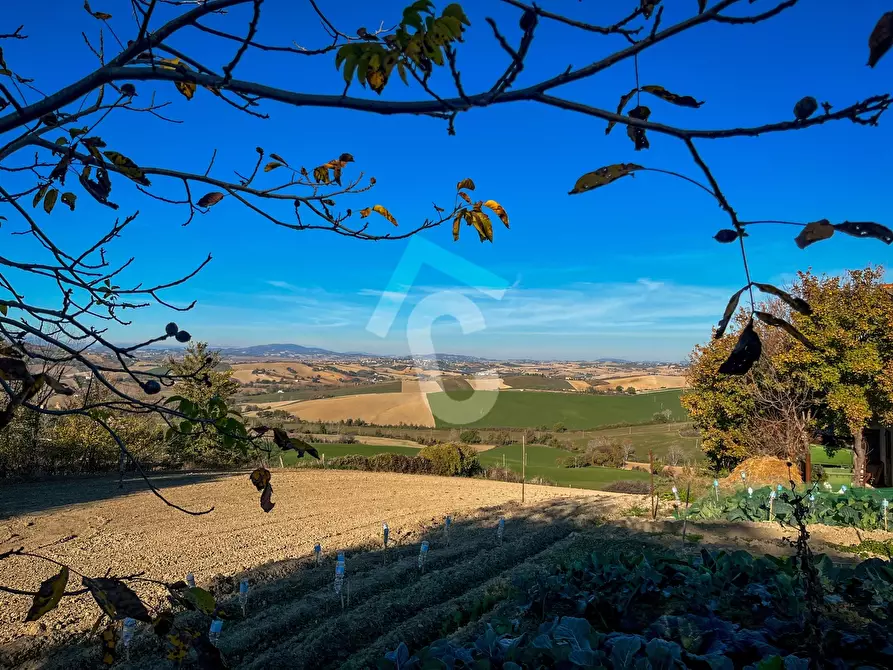 Immagine 14 di Casa indipendente in vendita  a Montecarotto