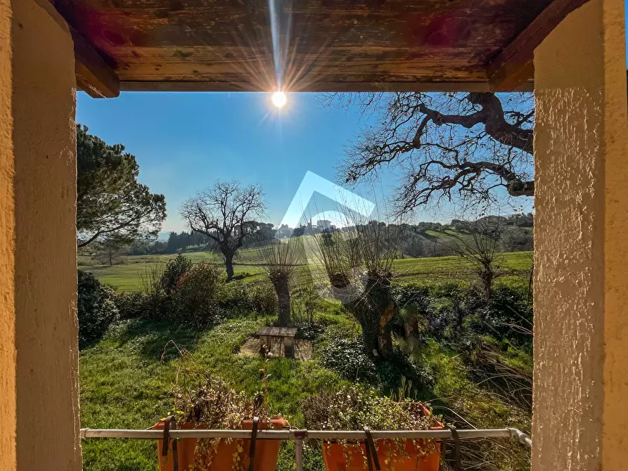 Immagine 25 di Rustico / casale in vendita  a Jesi