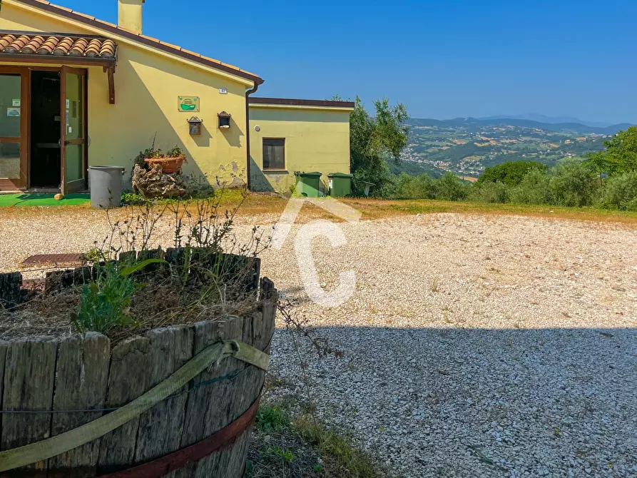 Immagine 29 di Rustico / casale in vendita  a Maiolati Spontini