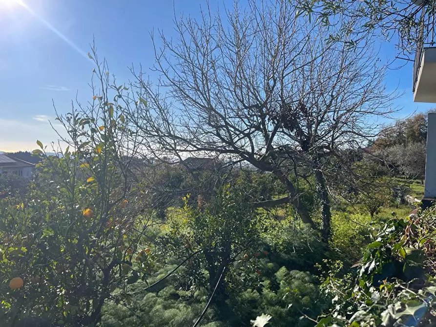 Immagine 3 di Terreno industriale in vendita  a Trecastagni