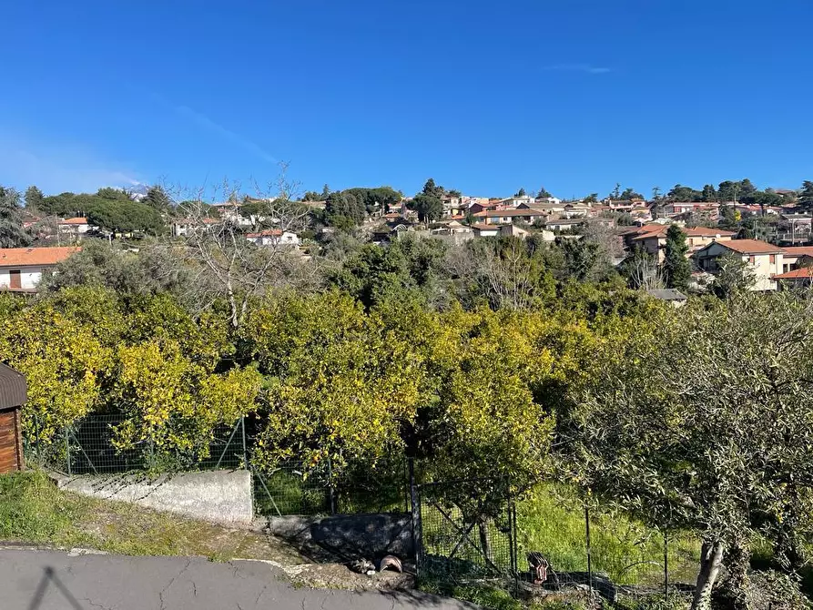 Immagine 27 di Terreno industriale in vendita  a Trecastagni