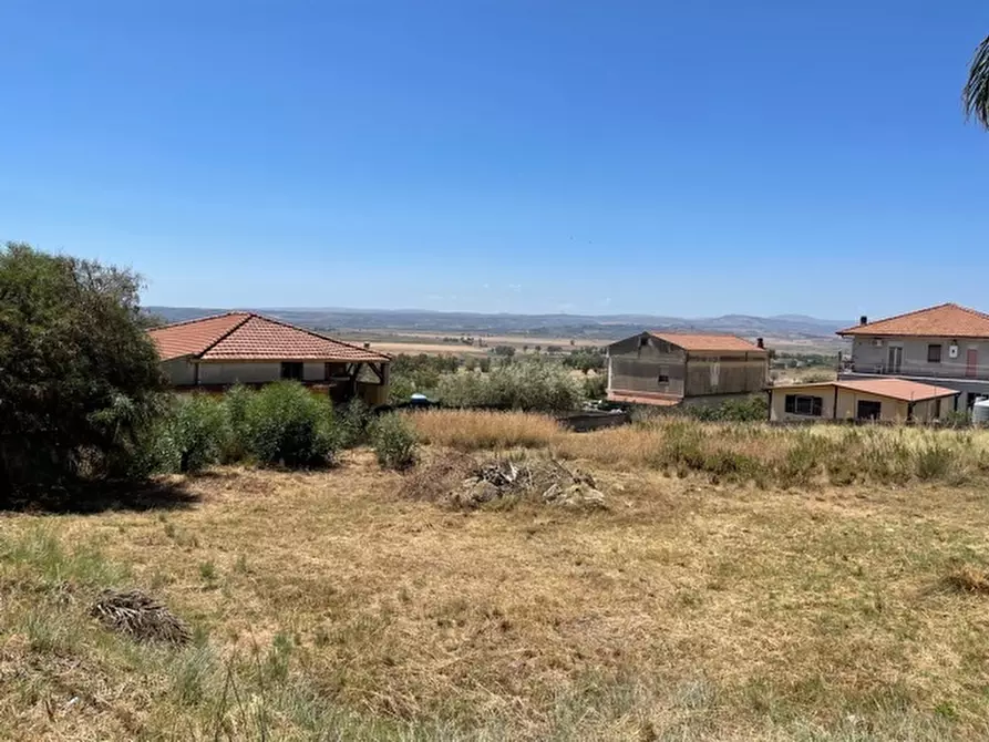 Immagine 3 di Terreno agricolo in vendita  a Lentini