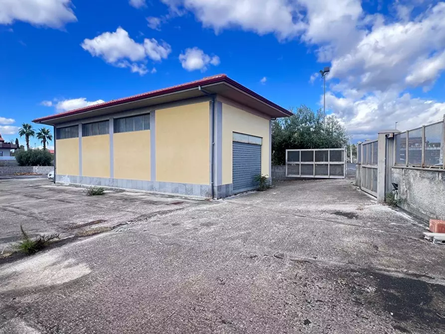 Immagine 2 di Capannone industriale in affitto  a Gravina Di Catania