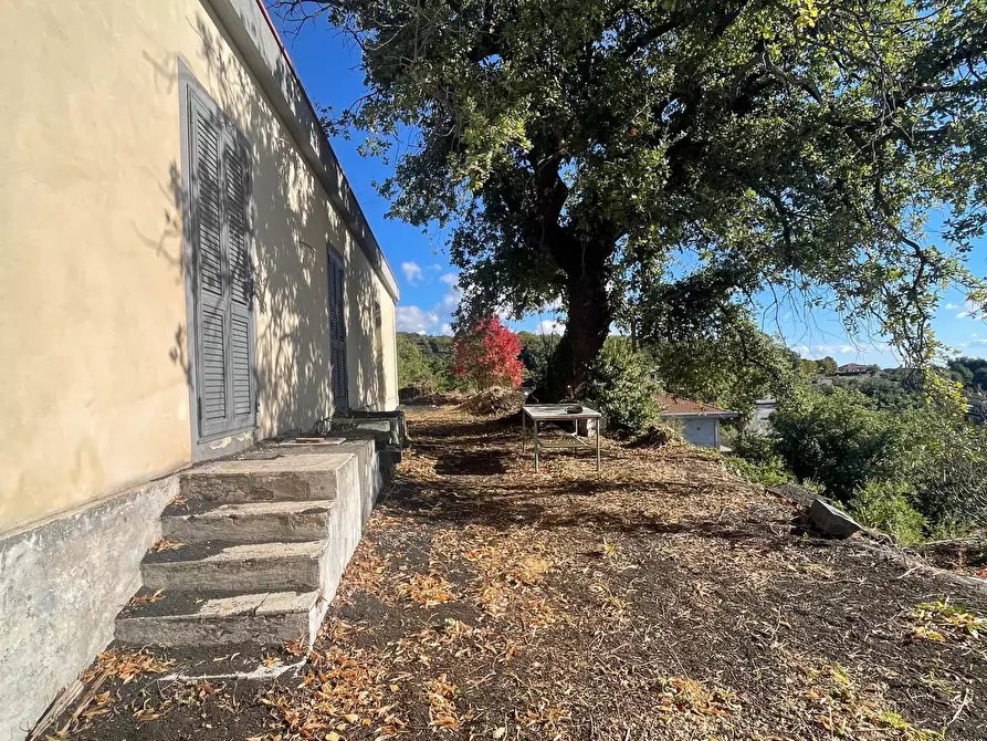 Immagine 3 di Villa in vendita  a Zafferana Etnea