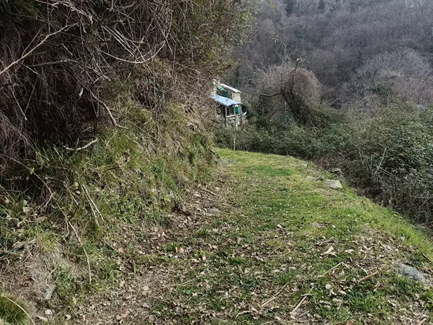 Immagine 5 di Casa indipendente in vendita  in Via Gino Pellegrini 10 a Varazze