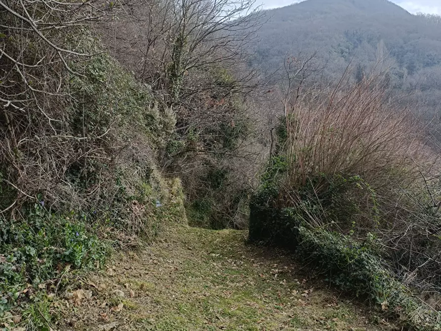 Immagine 15 di Casa indipendente in vendita  in Via Gino Pellegrini 10 a Varazze