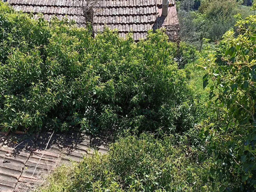 Immagine 27 di Casa indipendente in vendita  in Via Campomarzio 9 a Varazze