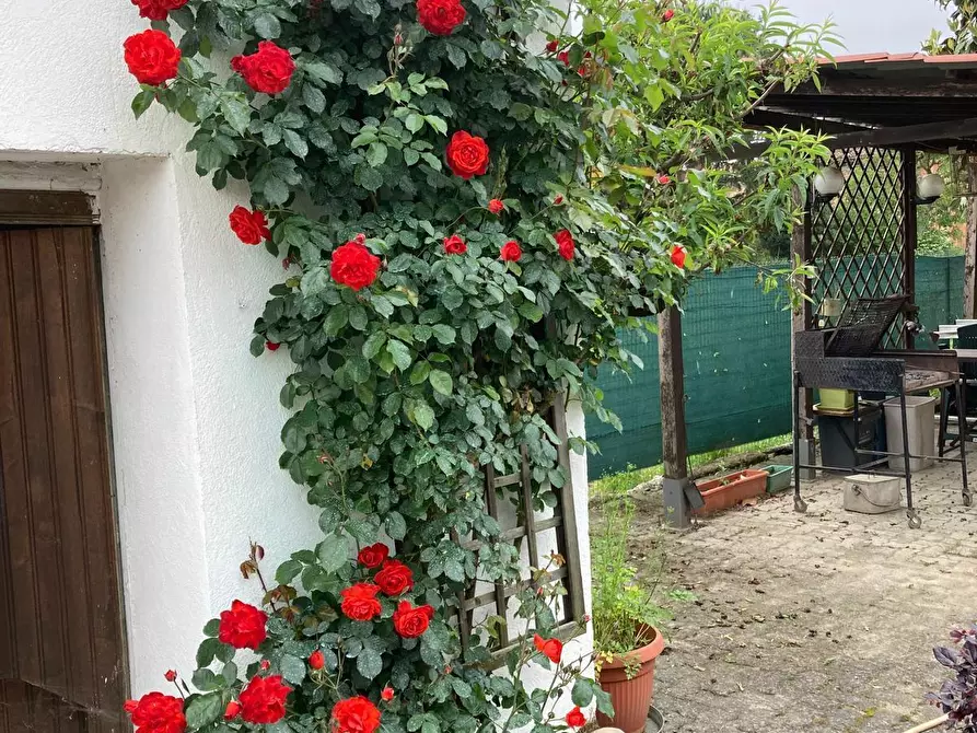 Immagine 6 di Casa indipendente in vendita  in Via Bruni Gaioli 105 a Castelnuovo Bormida