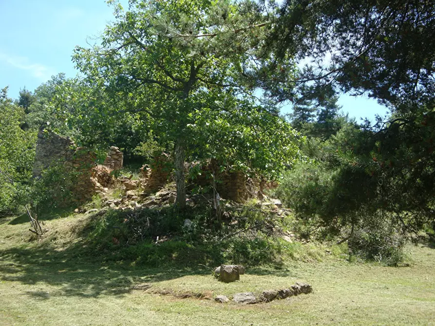 Immagine 11 di Terreno edificabile in vendita  in loc. Palo - Patare 1 a Sassello