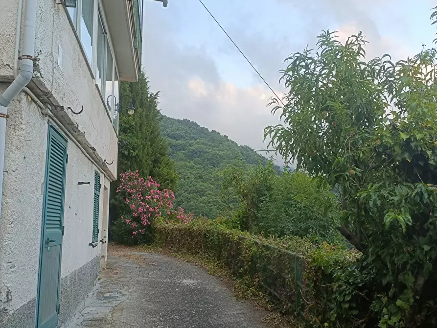 Immagine 33 di Casa bifamiliare in vendita  in Via Gino Pellegrini 14 a Varazze