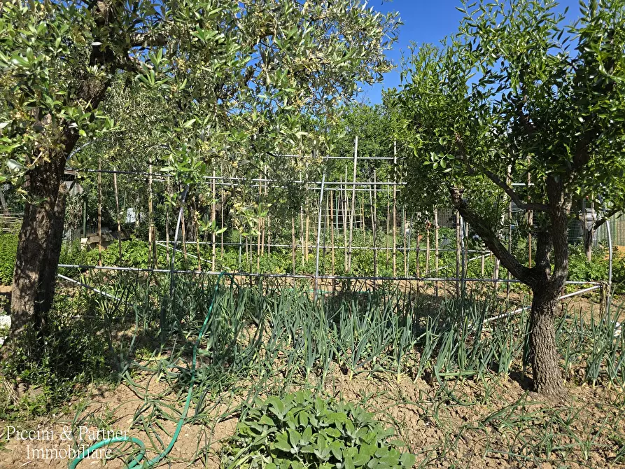 Immagine 81 di Terratetto in vendita  in Via Napoli a Castiglione Del Lago
