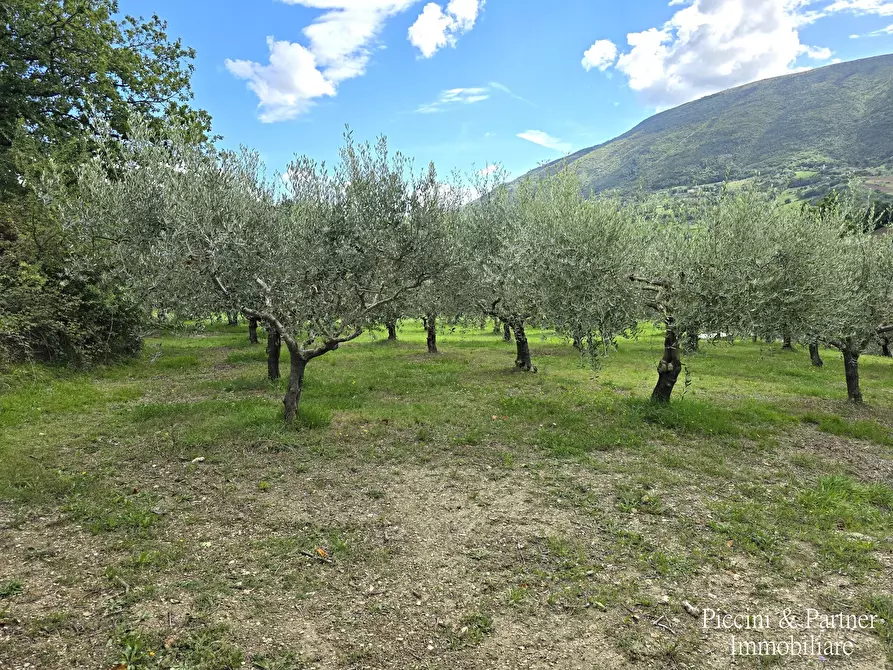 Immagine 96 di Rustico / casale in vendita  in Frazione Paradiso a Assisi
