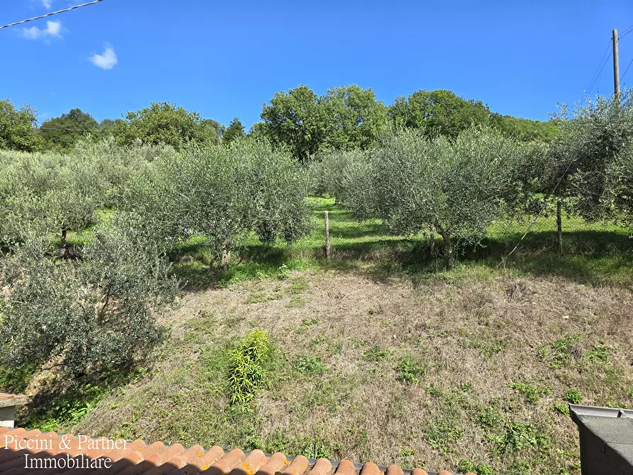 Immagine 68 di Rustico / casale in vendita  in SR 444 Pian della Pieve a Assisi