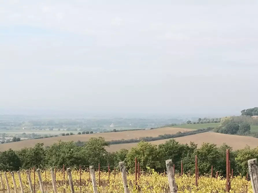 Immagine 4 di Terreno agricolo in vendita  in Via Soccorso 63 a Cortona
