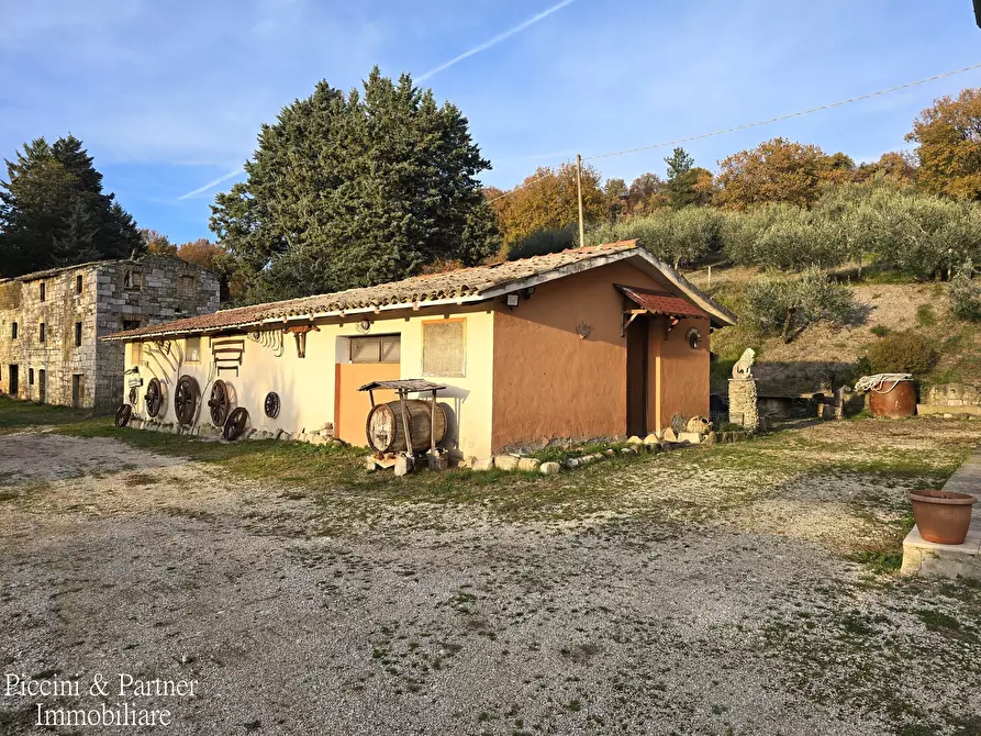 Immagine 3 di Rustico / casale in vendita  in Frazione Paradiso a Assisi