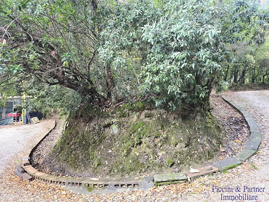 Immagine 4 di Villa in vendita  in Località Cinque Cerri a Bettona