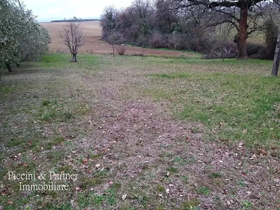 Immagine 24 di Porzione di casa in vendita  in SP301 54 a Castiglione Del Lago