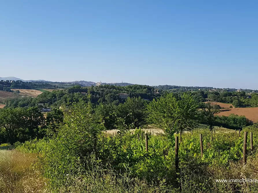 Immagine 1 di Terreno agricolo in vendita  a Perugia