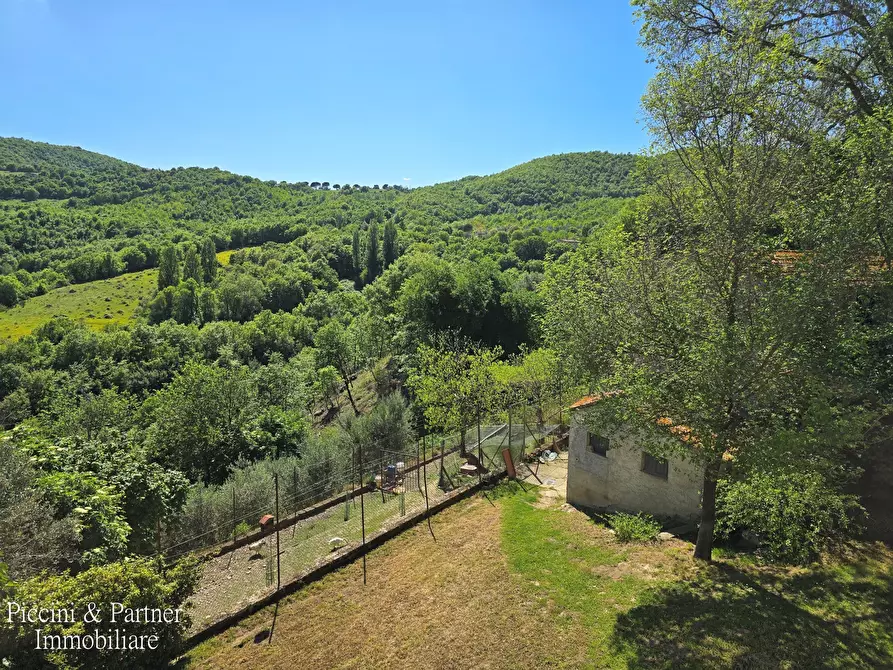 Immagine 34 di Rustico / casale in vendita  in Migianella a Umbertide