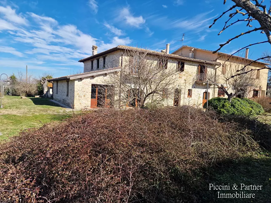 Immagine 87 di Agriturismo in vendita  in Località San Lorenzo a Castel Ritaldi