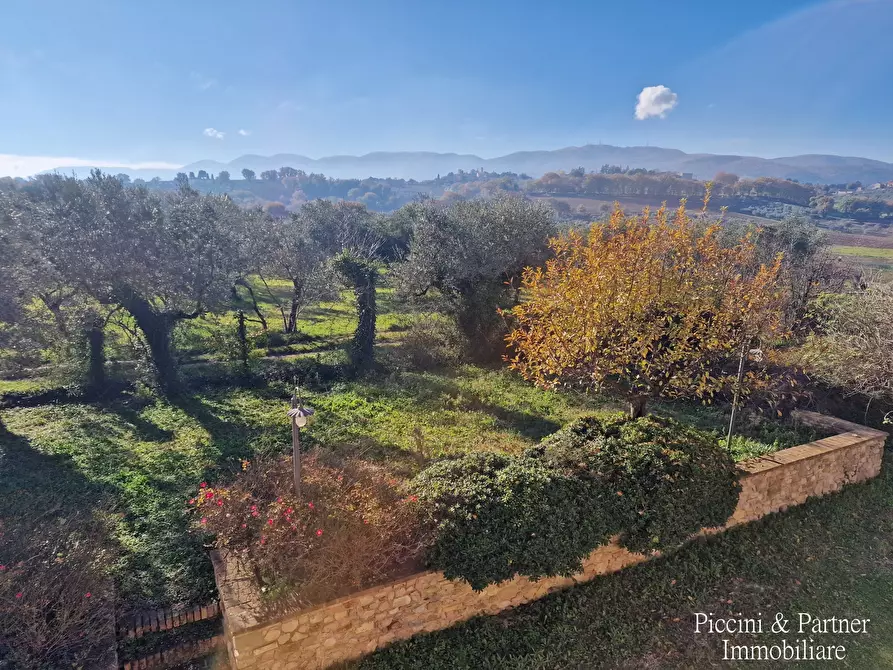 Immagine 39 di Rustico / casale in vendita  in Località San Lorenzo a Castel Ritaldi