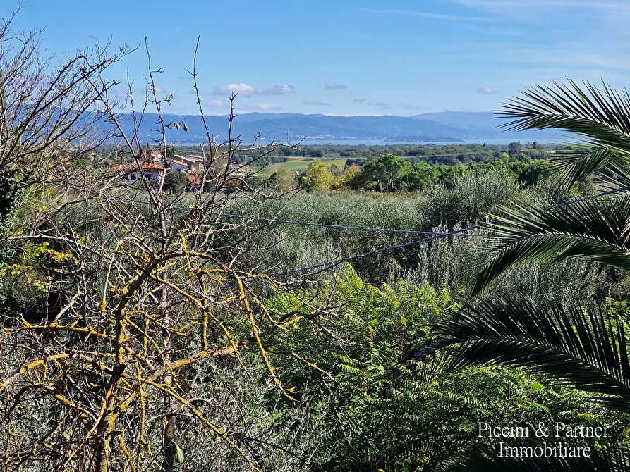 Immagine 33 di Rustico / casale in vendita  in Via della Vittoria 21 a Castiglione Del Lago
