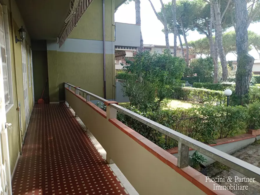 Immagine 13 di Quadrilocale in vendita  in Via Magliano 15 a Massa