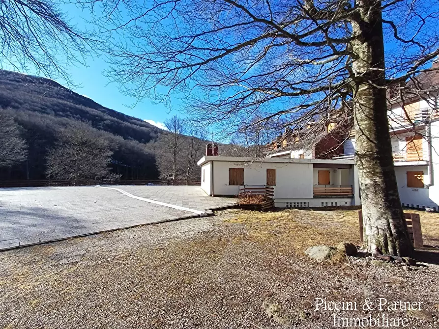Immagine 30 di Bilocale in vendita  in Prato della Marsiliana Monte Amiata a Seggiano