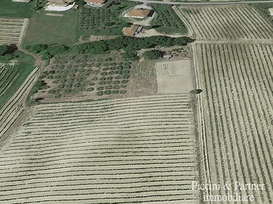 Immagine 1 di Terreno agricolo in vendita  in Via Ascianello a Montepulciano
