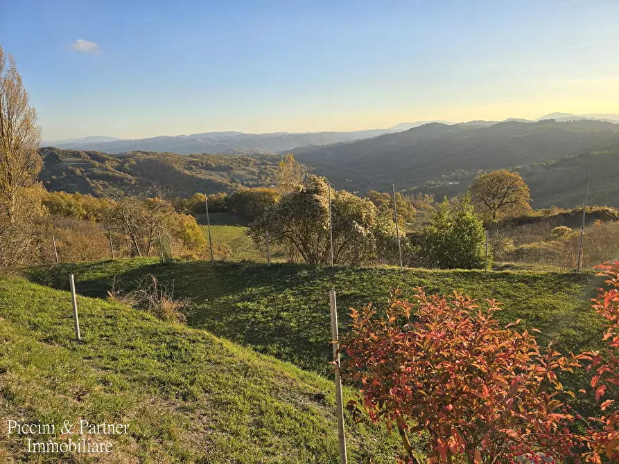 Immagine 68 di Agriturismo in vendita  in S.B.Vecchio a Gubbio