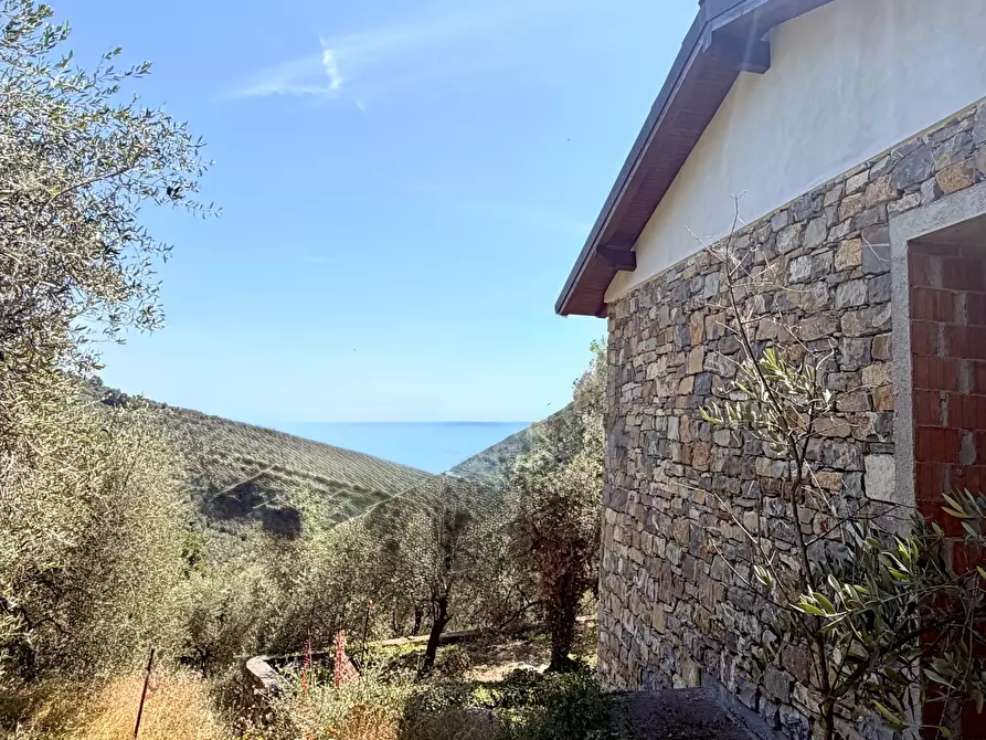 Immagine 14 di Villa in vendita  in Strada Interpoderale Moltedo - Ciai 13 a Diano San Pietro